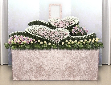 イメージ写真